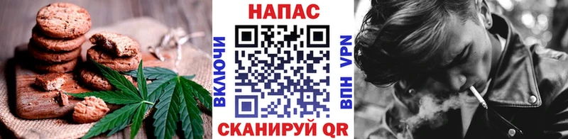где купить наркоту  Балашиха  Canna-Cookies конопля 