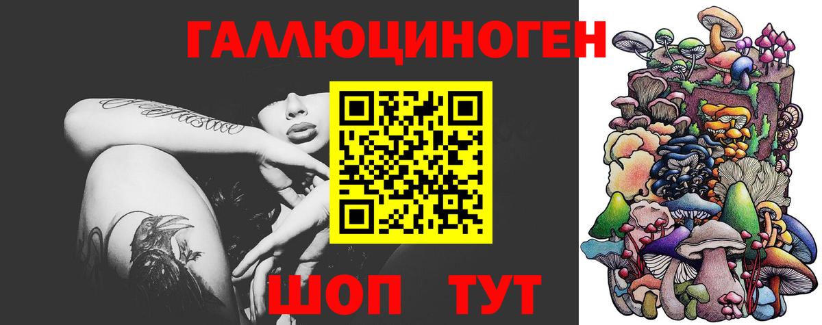 как найти наркотики  Вход с VPN  Псилоцибиновые грибы ЛСД  Балашиха  Галлюциногенные грибы GOLDEN TEACHER 